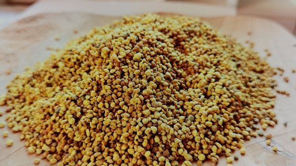 10x Blütenpollen 500g (=5kg) Blüten Pollen Honig Aktion "Nahrungsergänzung"